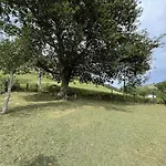 Esteinuko-borda
