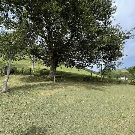 Esteinuko-borda